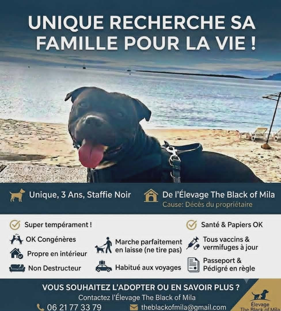 retour a l'élevage
