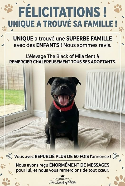 The Black Of Mila - UNIQUE a trouvé sa famille